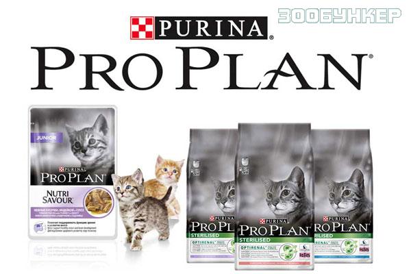 Purina Pro Plan сухой корм для кошек и котят