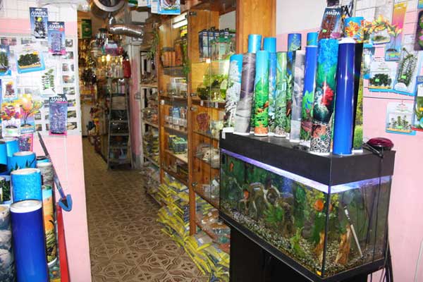Аквариумные рыбки и растения, общий объем аквариумов с рыбой 3000 литров.