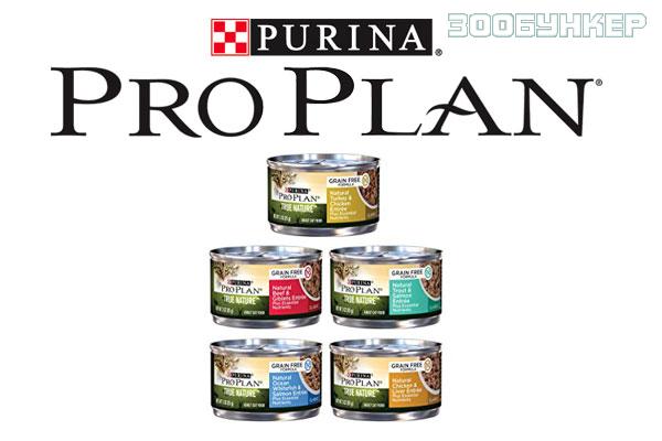 Purina Pro Plan корм в консервах для кошек и котят